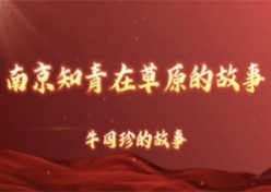 检查图片
